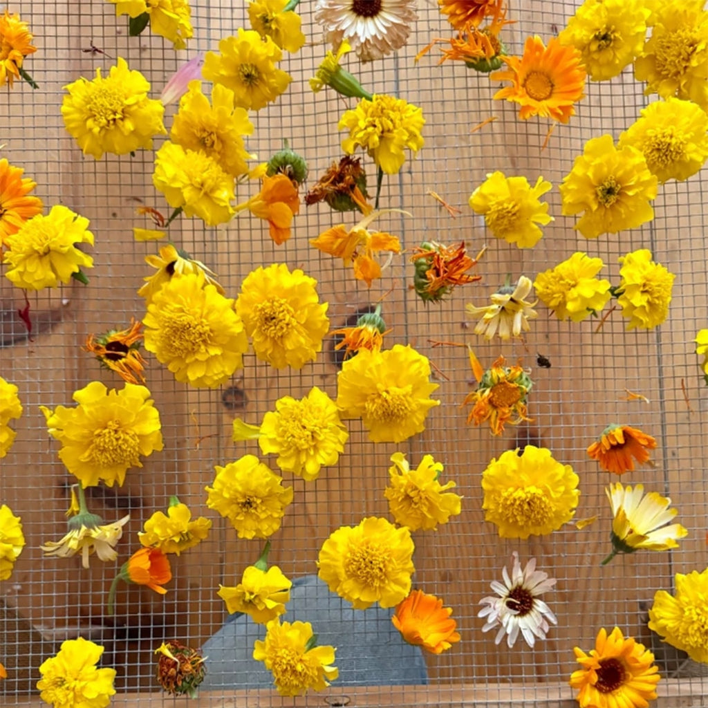 Organic Edible Flower Mix