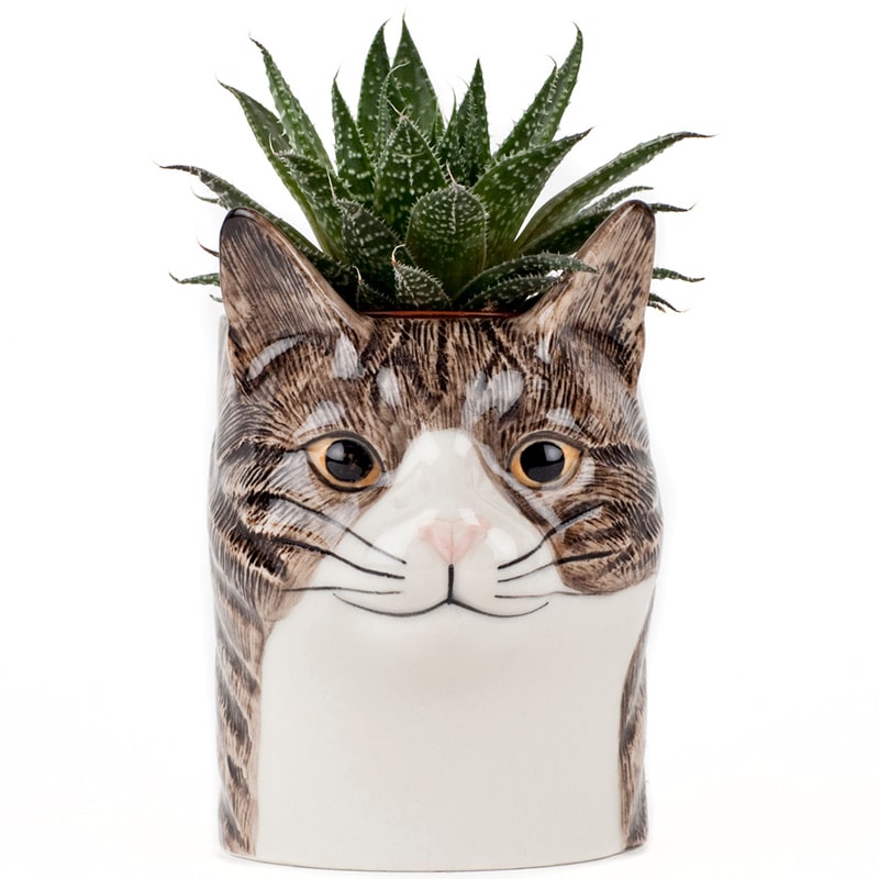 Millie Pencil Pot