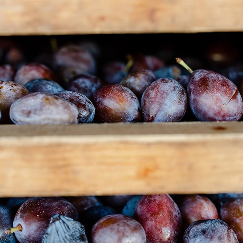 California Organic Dried Plums